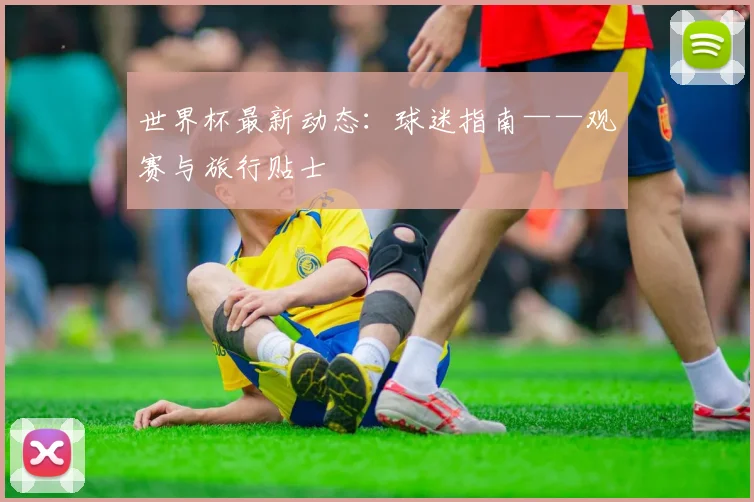 世界杯最新动态：球迷指南——观赛与旅行贴士