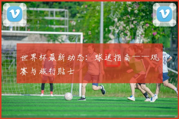 世界杯最新动态:球迷指南——观赛与旅行贴士